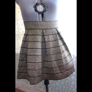 Ginger G Pleated Metallic Circle/Flare Skirt